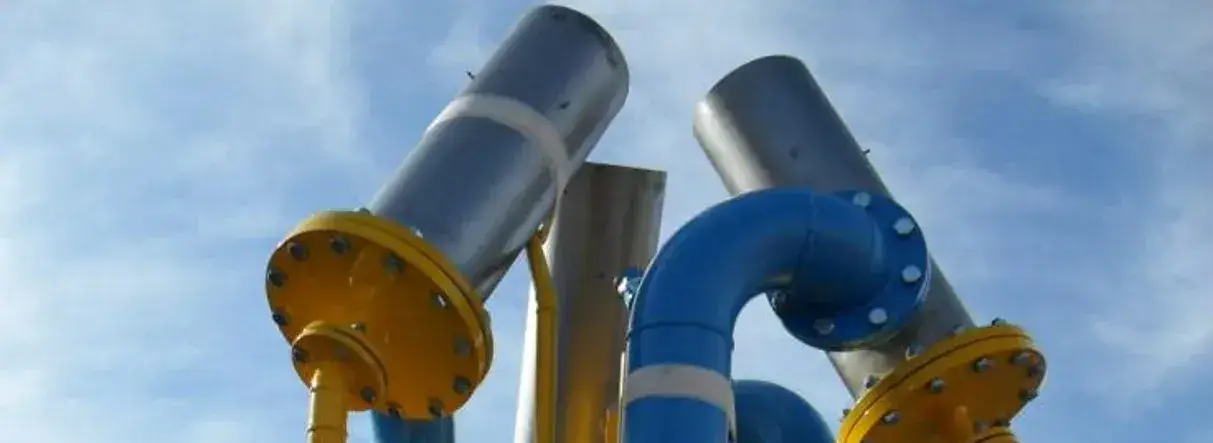 antorcha de biogas